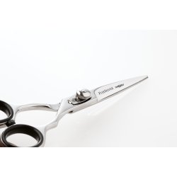 IwaSaki EXECUTIVE SILVER FUJI 5''