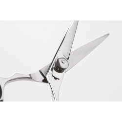 IwaSaki EXECUTIVE SILVER FUJI 5''