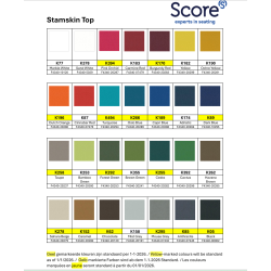 Score Amazone Balance med rygst�tte, h�nd/fodkontrol