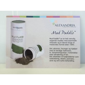 AP flyer - Mud Puddle