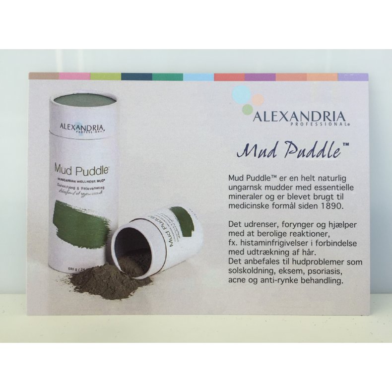 AP flyer - Mud Puddle