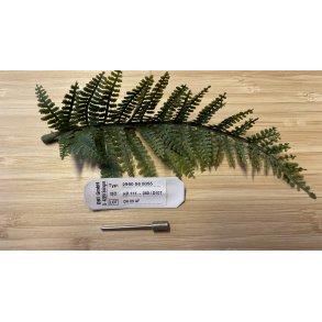 Diamantbor, cylinderformet, mellem grov, 060