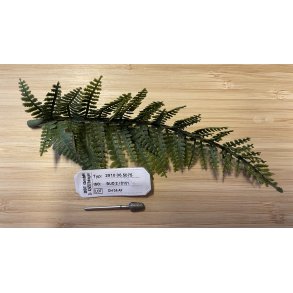 Diamantbor grov kegleform