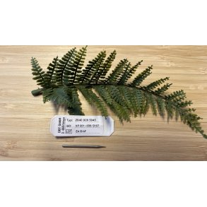 Diamantbor, rund, 009, mellem grov