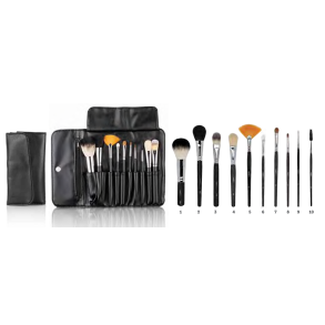 Penselst prof 10 dele med omslag. Farve Sort