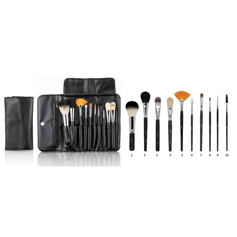Penselst prof 10 dele med omslag. Farve Sort