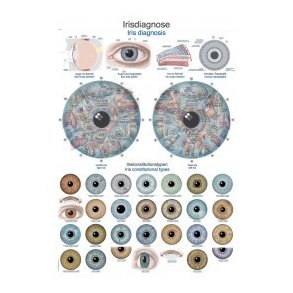 Plakat Iris Diagnosis 50X70 cm.