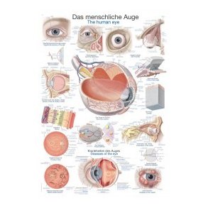 Plakat Det menneskelige je 70 X100 cm